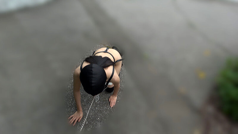 家畜人ケイコの調教記録 画像11